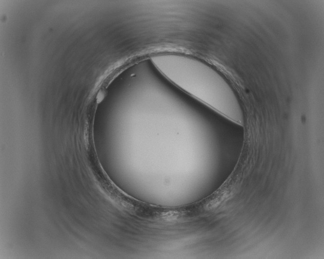 X0000069810064200605190855