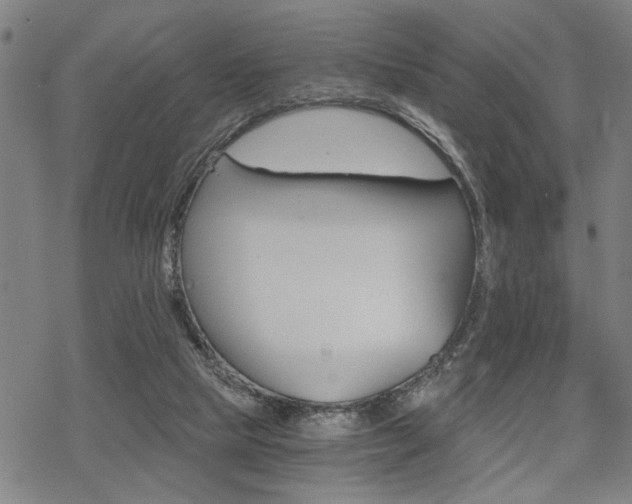 X0000069810065200605190855