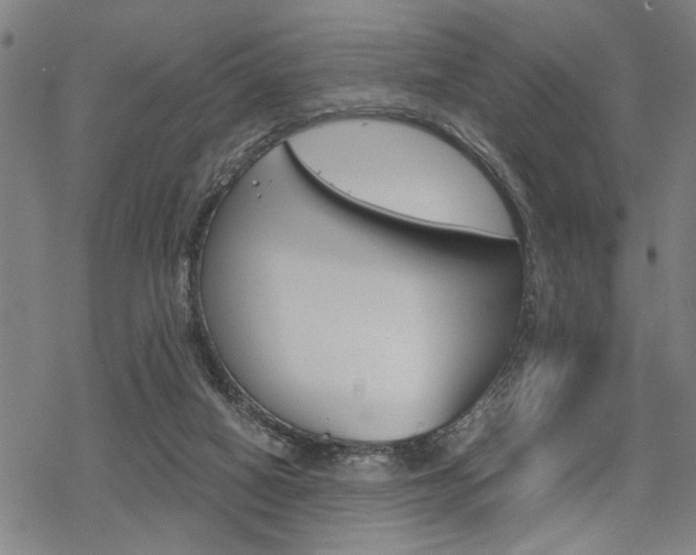 X0000069810066200605190855