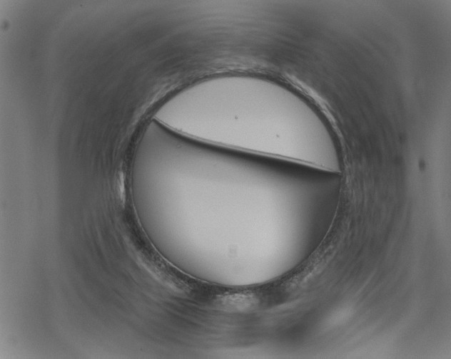 X0000069810067200605190855