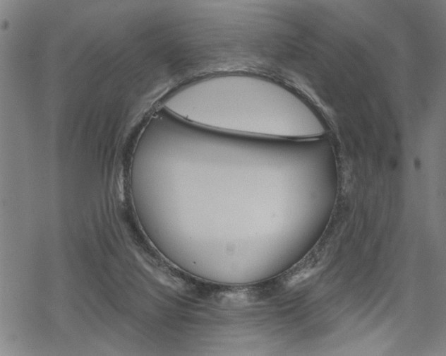 X0000069810068200605190855