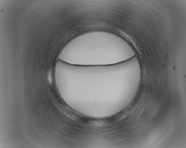 X0000069810069200605190855