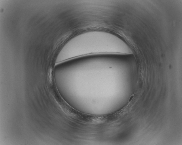 X0000069810070200605190855