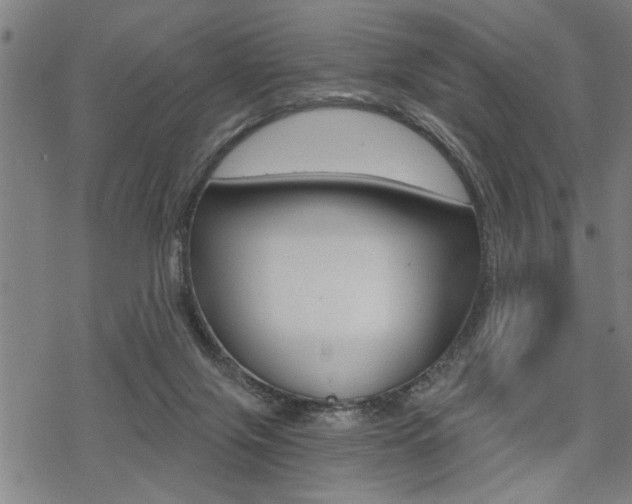 X0000069810071200605190855