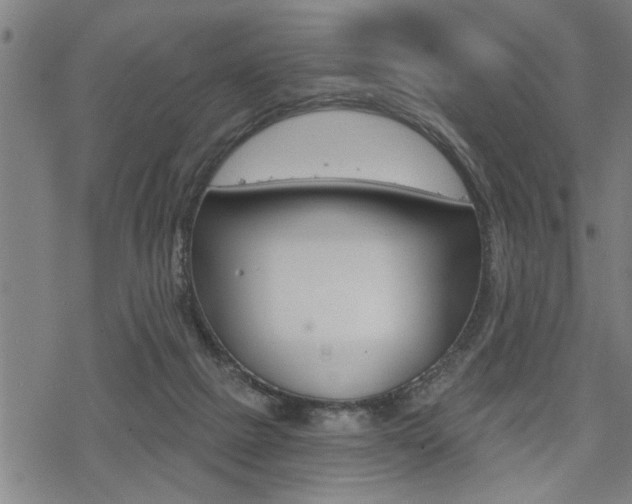 X0000069810073200605190855