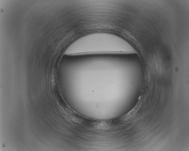 X0000069810074200605190855