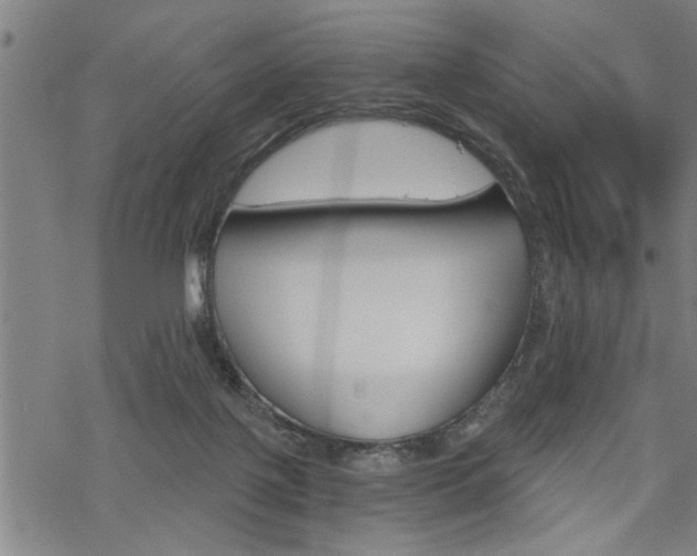 X0000069810075200605190855