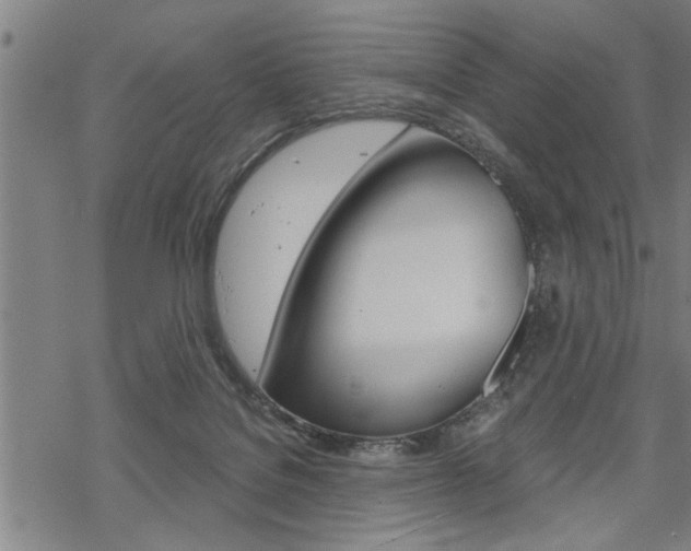 X0000069810076200605190855