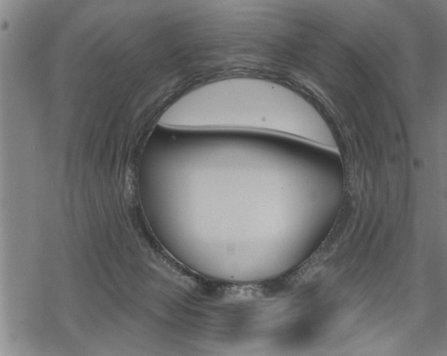 X0000069810077200605190855