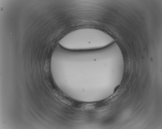 X0000069810078200605190855