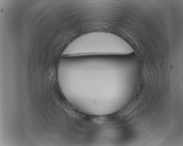 X0000069810079200605190855