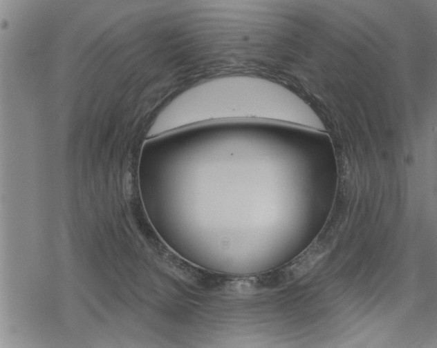 X0000069810080200605190855