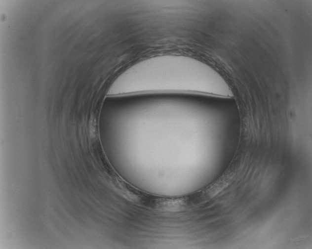 X0000069810081200605190855