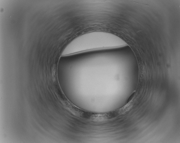 X0000069810082200605190855