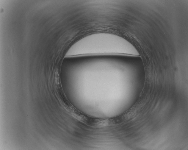 X0000069810083200605190855