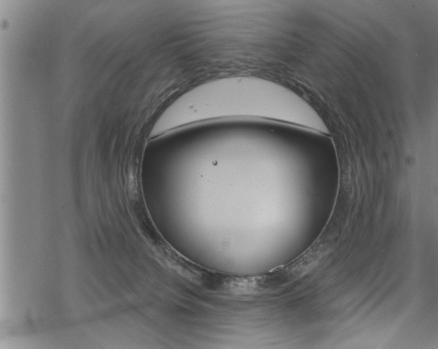 X0000069810084200605190855