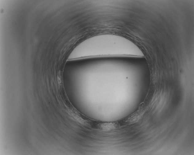 X0000069810085200605190856