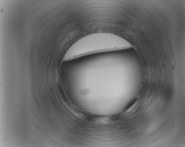 X0000069810086200605190856