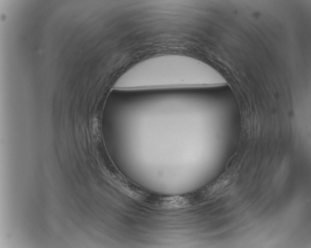 X0000069810087200605190856