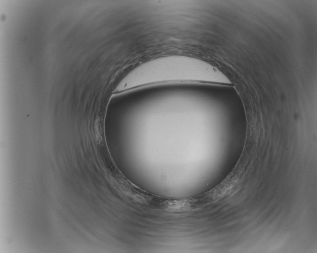 X0000069810088200605190856