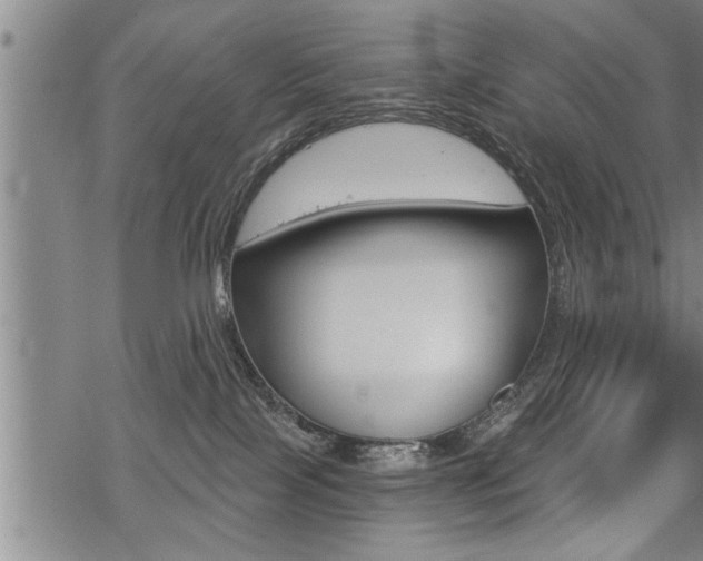 X0000069810089200605190856