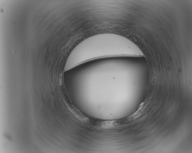 X0000069810090200605190856