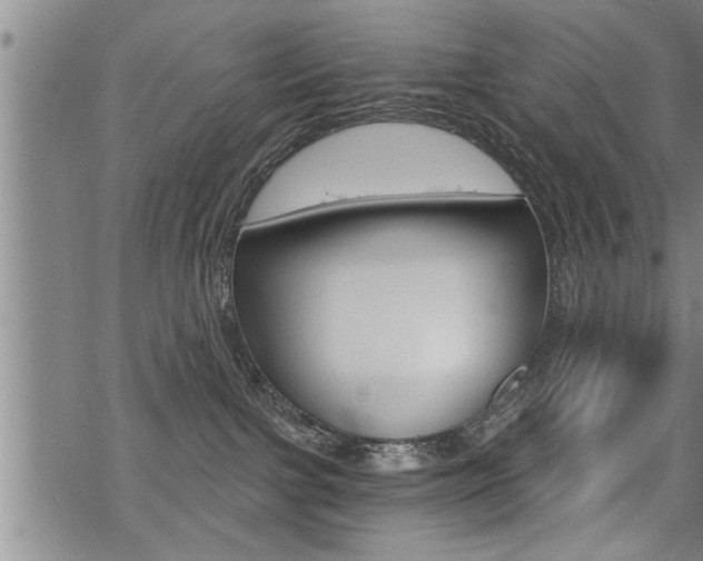 X0000069810091200605190856