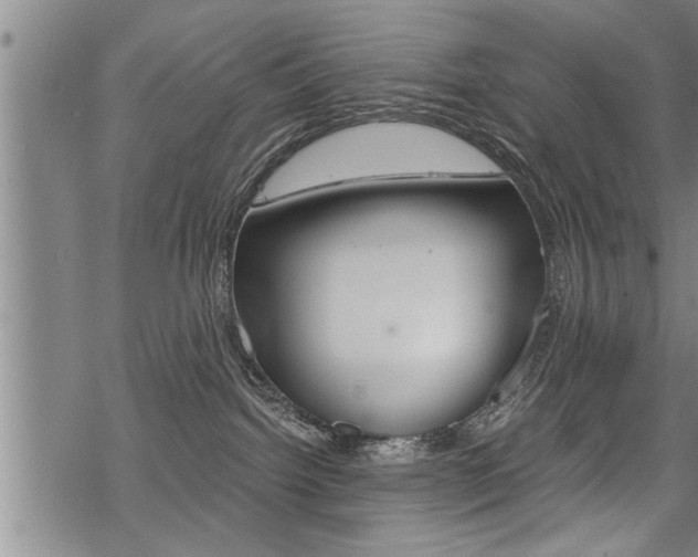 X0000069810092200605190856