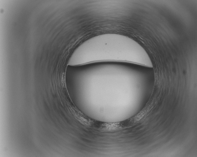 X0000069810093200605190856