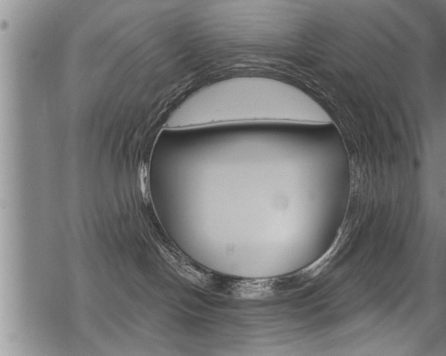 X0000069810094200605190856