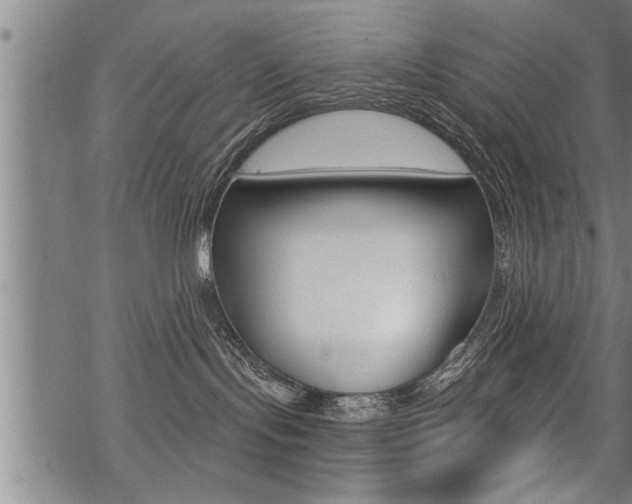 X0000069810095200605190856