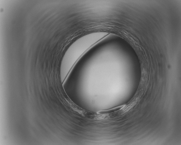 X0000069810096200605190856