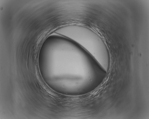 X0000069810097200605190855