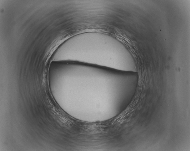 X0000069810098200605190855