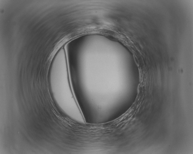 X0000069810099200605190855