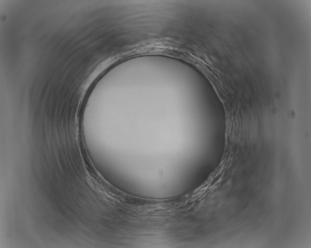 X0000069810100200605190855