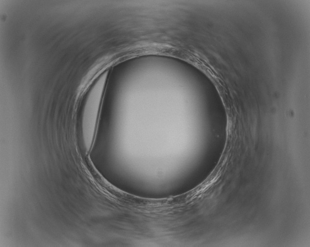 X0000069810101200605190855