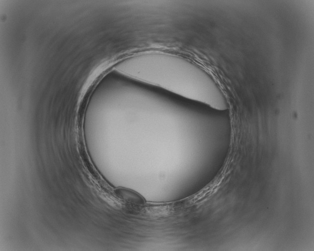 X0000069810102200605190855