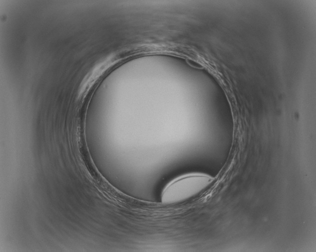 X0000069810103200605190855