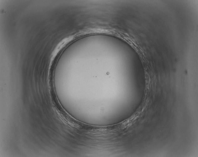 X0000069810104200605190855