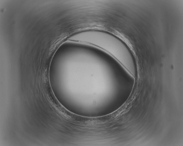 X0000069810105200605190855