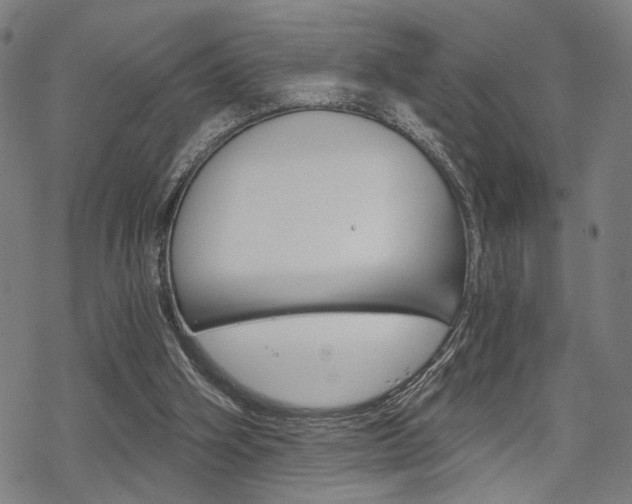 X0000069810106200605190855