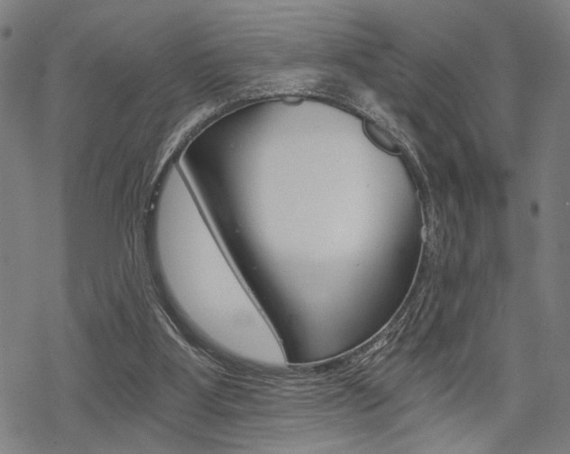 X0000069810107200605190855