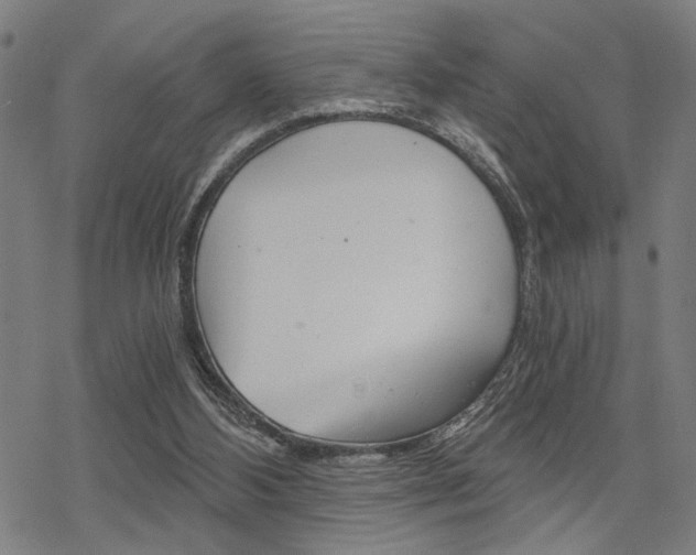 X0000069810108200605190855