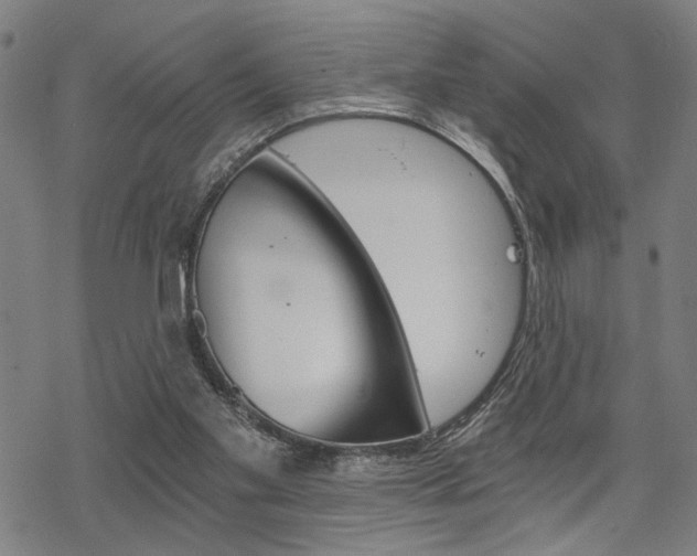 X0000069810109200605190855