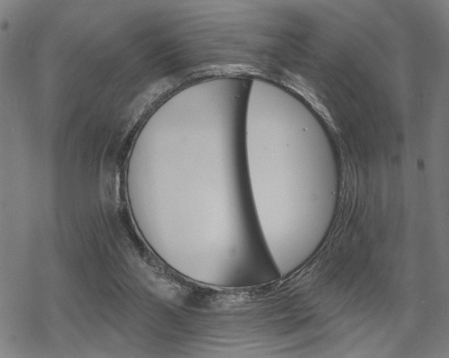 X0000069810110200605190855