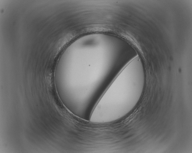 X0000069810111200605190855