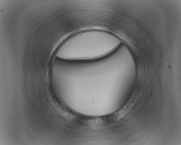 X0000069810112200605190855