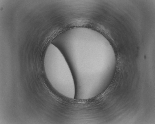 X0000069810114200605190855