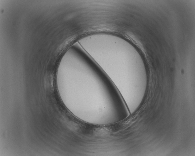 X0000069810115200605190855